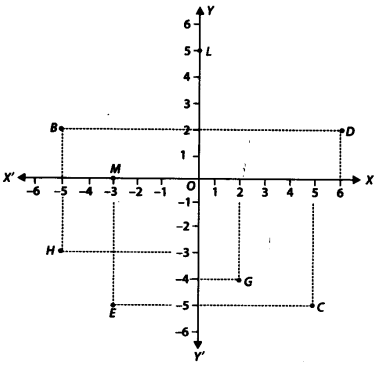 NCERT Solutions for Class 9 Maths Chapter 3 Coordinate Geometry Ex 3.2 Q2