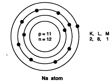 NCERT Solutions for Class 9 Science Chapter 4 Structure of Atom VSAQ Q10