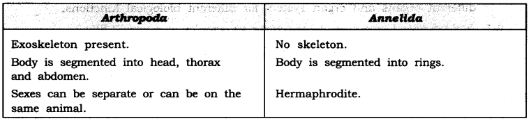NCERT Solutions for Class 9 Science Chapter 7 Diversity in Living Organisms Intext Questions Page 94 Q2