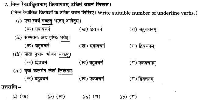 NCERT Solutions for Class 9th Sanskrit Chapter 10 Vidhiliga Lakarah 28