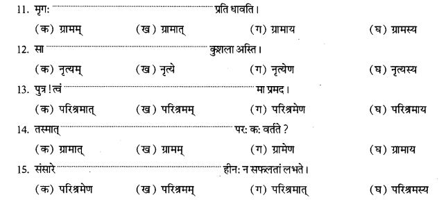 NCERT Solutions for Class 9th Sanskrit Chapter 16 Adhikarana Karak Proyogah 18