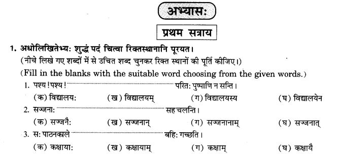 NCERT Solutions for Class 9th Sanskrit Chapter 16 Adhikarana Karak Proyogah 8