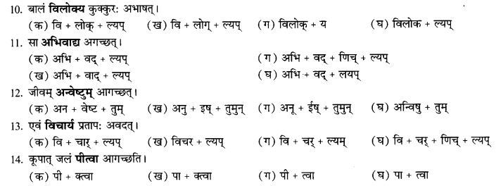 NCERT Solutions for Class 9th Sanskrit Chapter 17 Tumun Katvaa Layapa Pratyayanam Prayogah 12