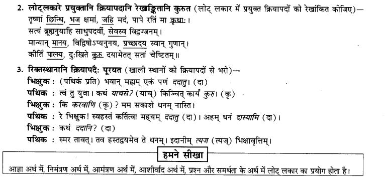 NCERT Solutions for Class 9th Sanskrit Chapter 9 Lot Lakarah 10