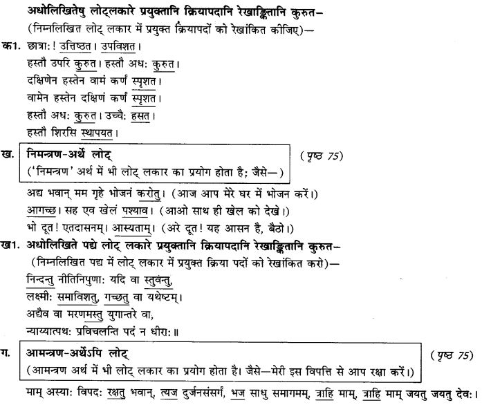 NCERT Solutions for Class 9th Sanskrit Chapter 9 Lot Lakarah 7