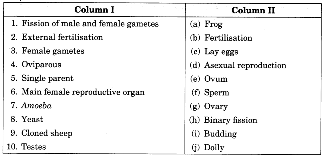 Reproduction in Animals Class 8 Extra Questions Science Chapter 9 6
