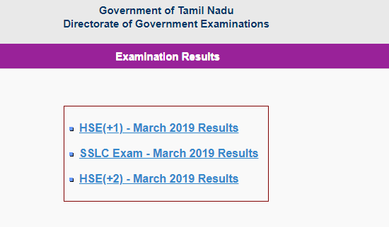 TN Class 11 Results