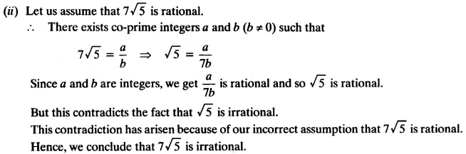 NCERT Solutions for Class 10 Maths Chapter 1 Real Numbers Q 7