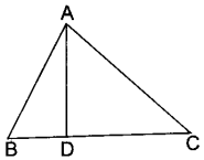 MCQ Questions for Class 10 Maths Triangles with Answers 2