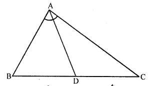 RD Sharma Class 10 Book Pdf Free Download Chapter 4 Triangles 